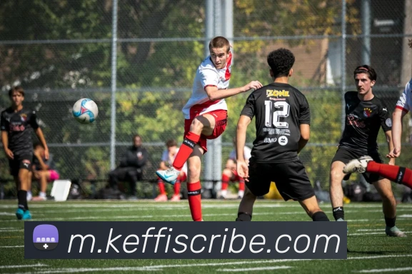 App 展示图
